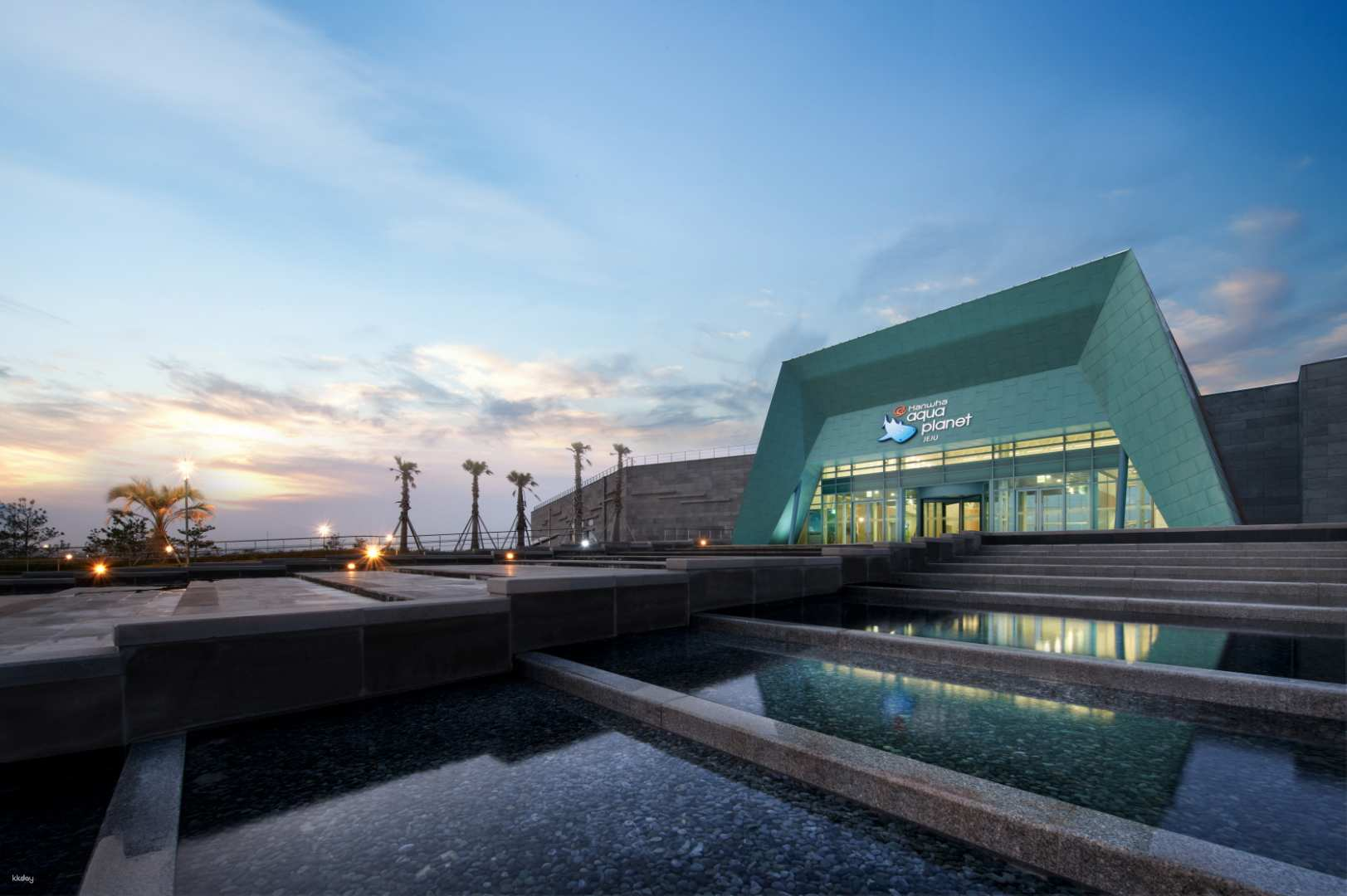 Explore Asia's largest marine theme park at Aqua Planet Jeju where you can enjoy stunning exhibits delicious dining options and captivating dolphin performances for a memorable adventure.